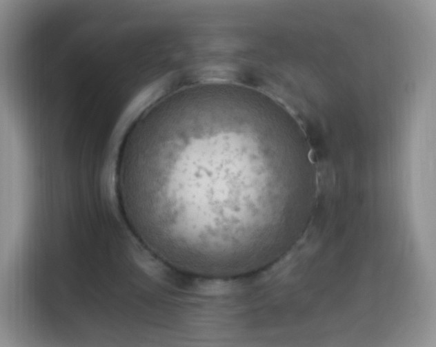 X0000113960293200910021531