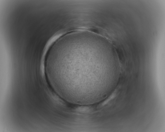 X0000113960294200910021531