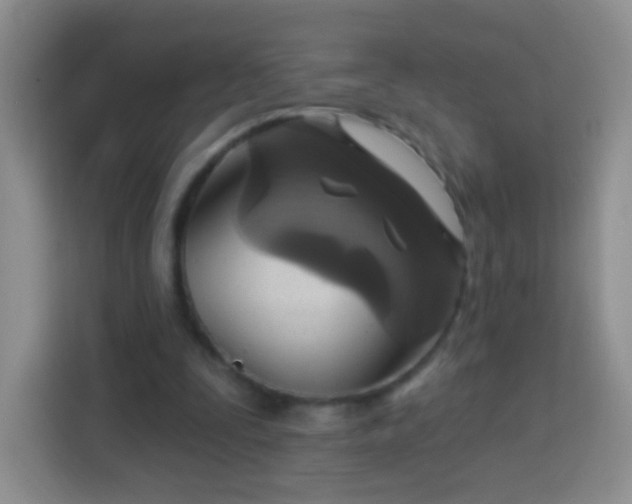 X0000113960295200910021531