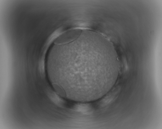 X0000113960296200910021531