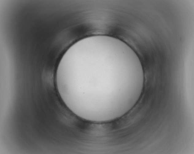 X0000113960297200910021531