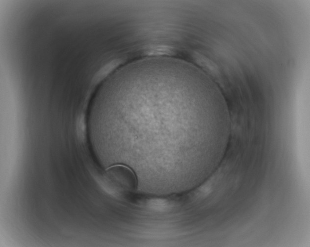 X0000113960298200910021531