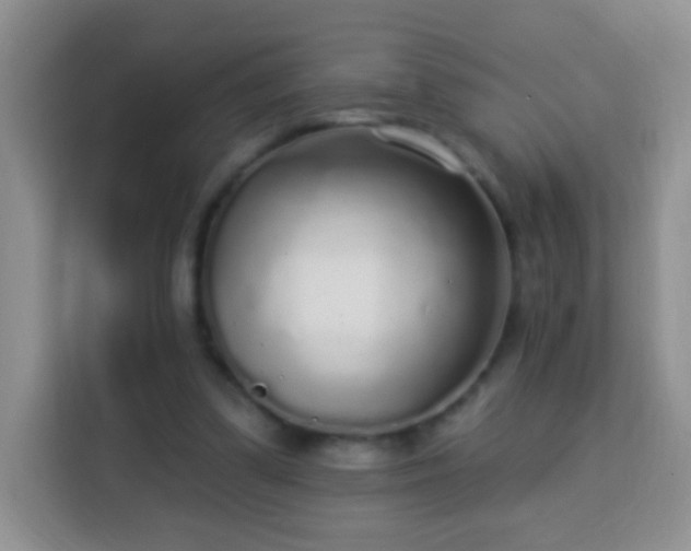 X0000113960299200910021531