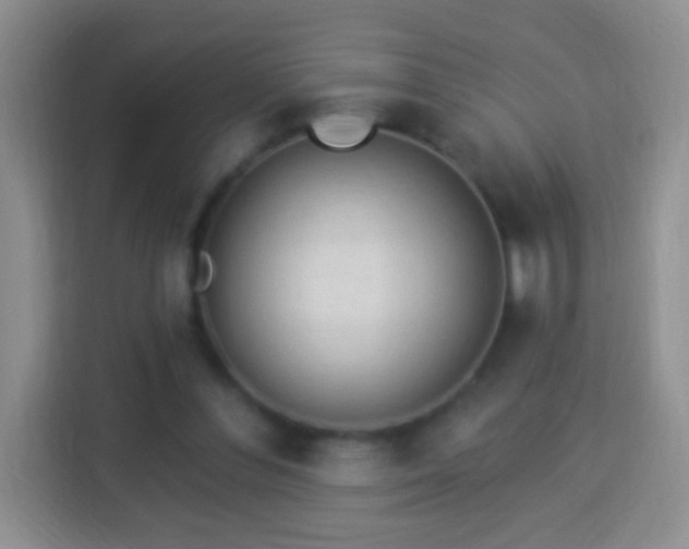 X0000113960300200910021531