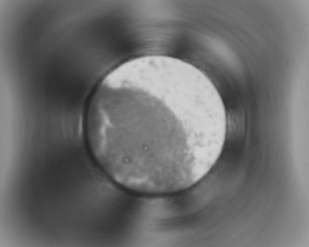 X0000113960301200910021531