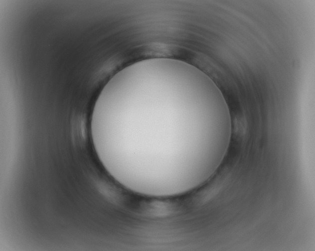 X0000113960302200910021531