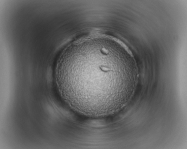 X0000113960303200910021531