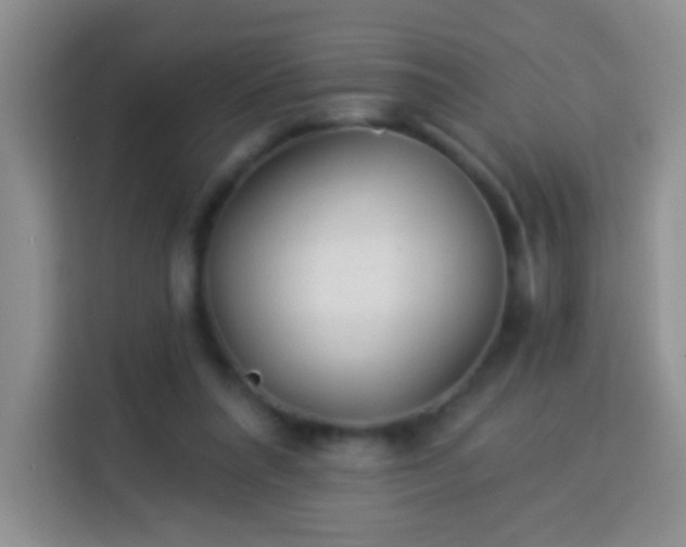 X0000113960304200910021531