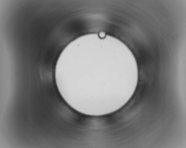 X0000113960305200910021531