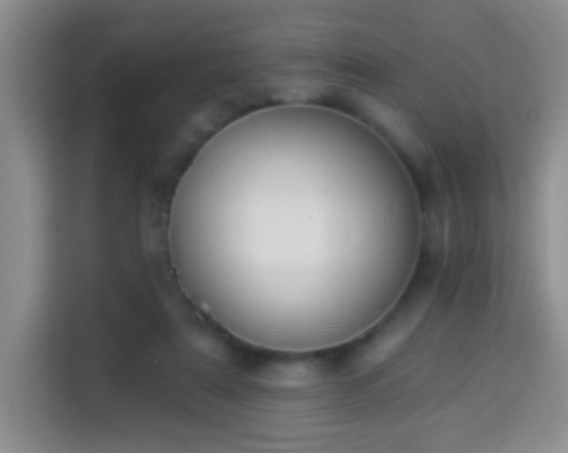 X0000113960307200910021531