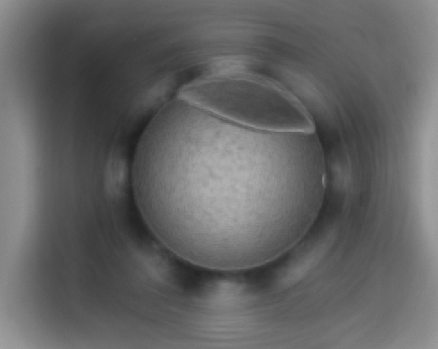 X0000113960308200910021531