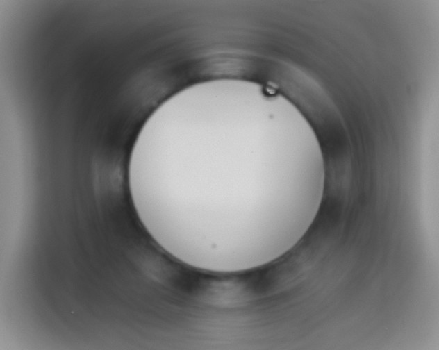 X0000113960309200910021531