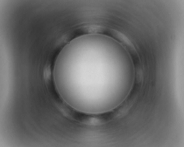 X0000113960310200910021531