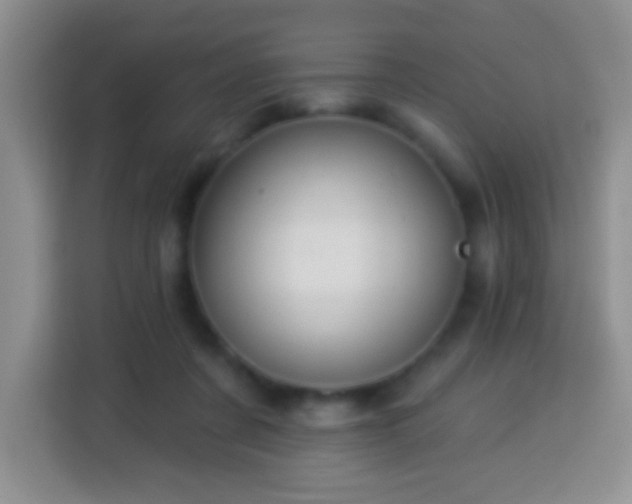 X0000113960311200910021531