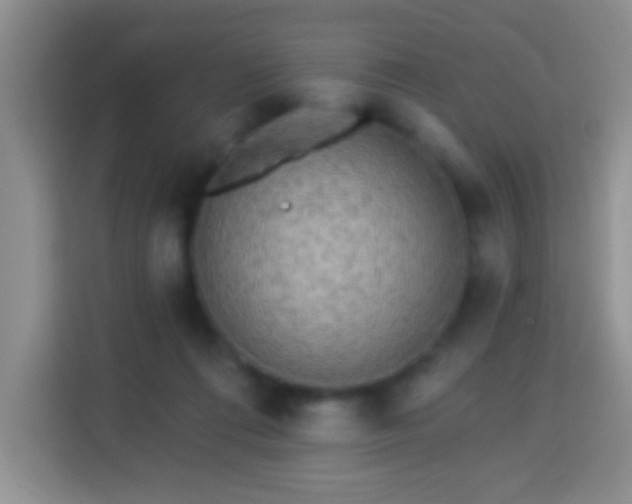 X0000113960312200910021531