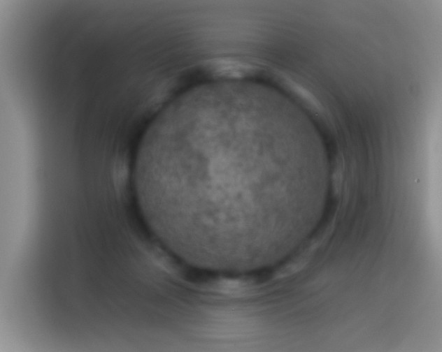 X0000113960314200910021531