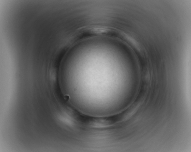 X0000113960315200910021531