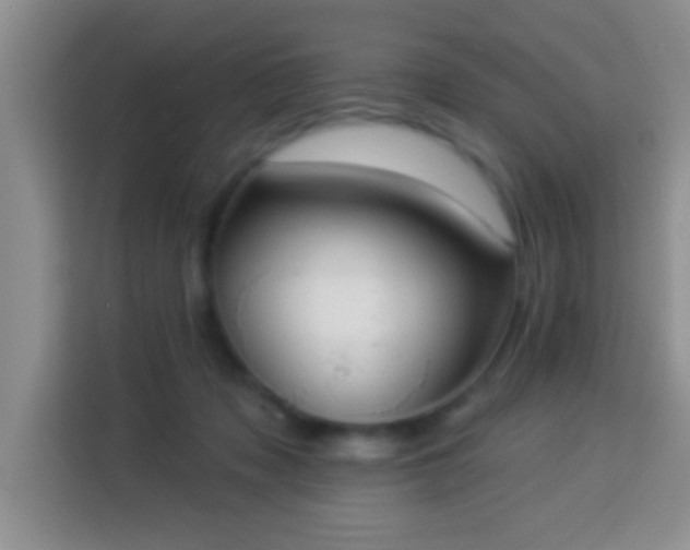 X0000113960317200910021531