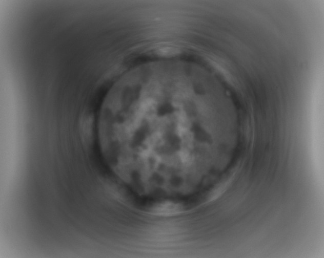 X0000113960319200910021531