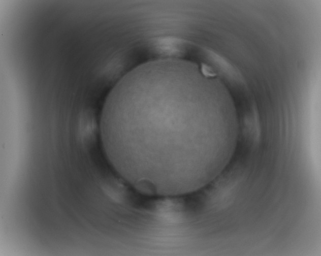 X0000113960320200910021531