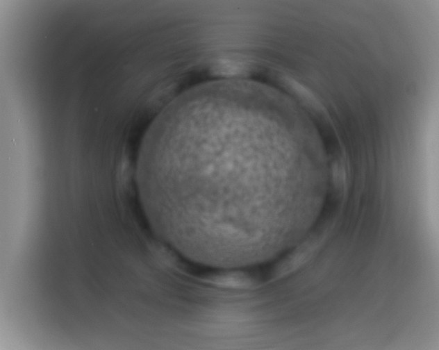 X0000113960322200910021531