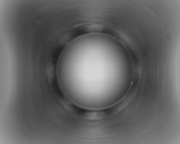 X0000113960323200910021531