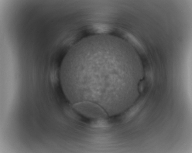 X0000113960325200910021531