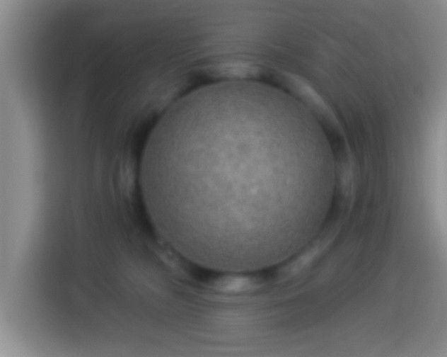 X0000113960326200910021531