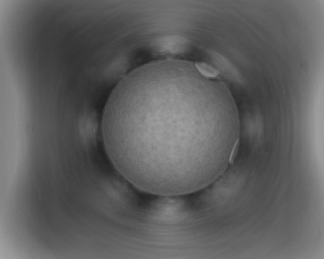 X0000113960328200910021531