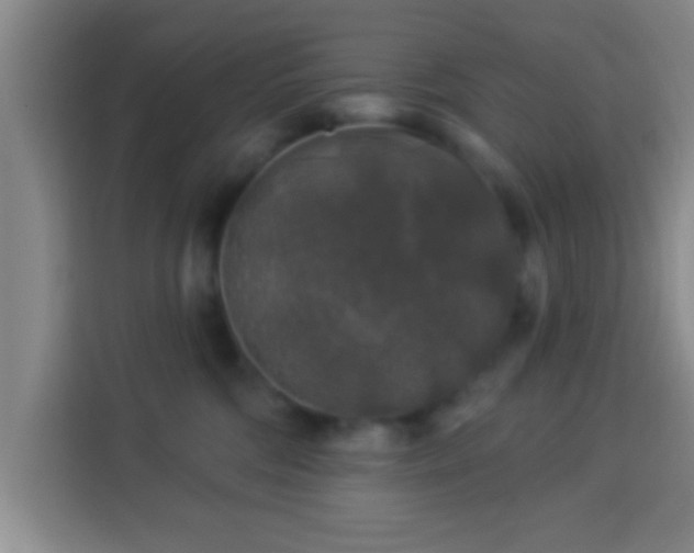 X0000113960330200910021531