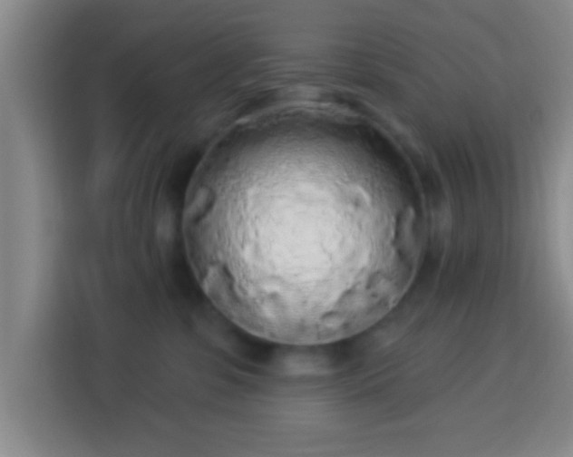 X0000113960331200910021531