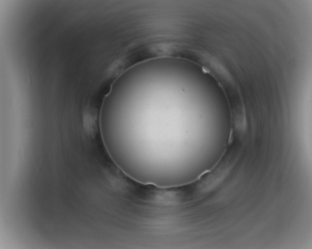 X0000113960332200910021531