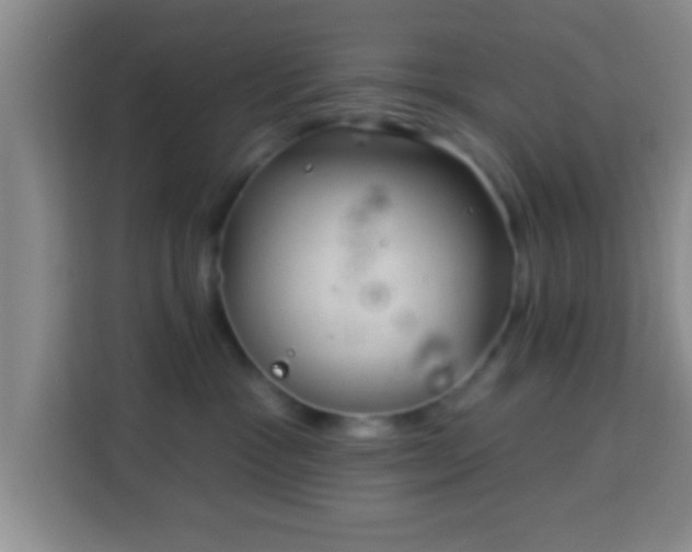 X0000113960333200910021531