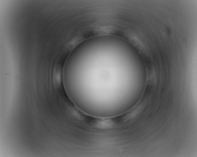 X0000113960334200910021531