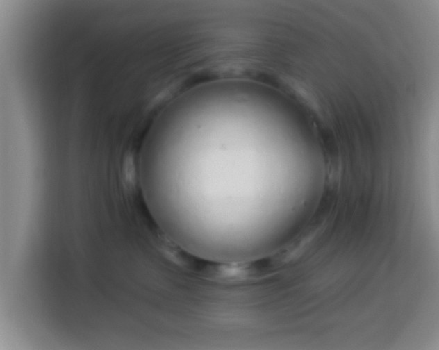 X0000113960335200910021531