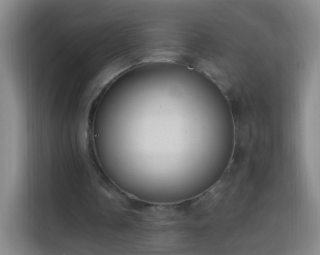 X0000113960338200910021530