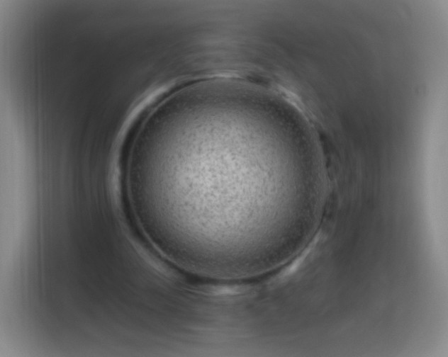 X0000113960342200910021530