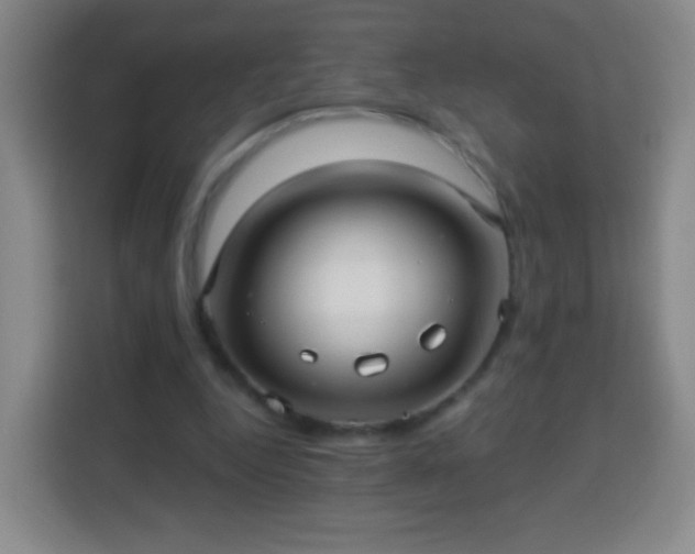 X0000113960344200910021530