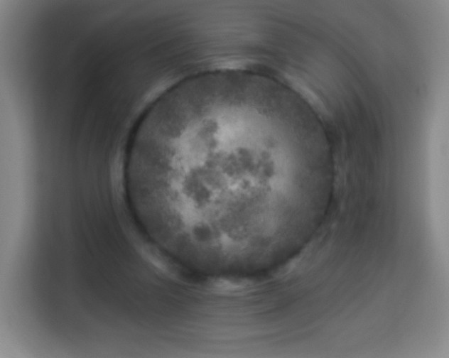 X0000113960346200910021530