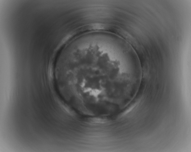 X0000113960347200910021530