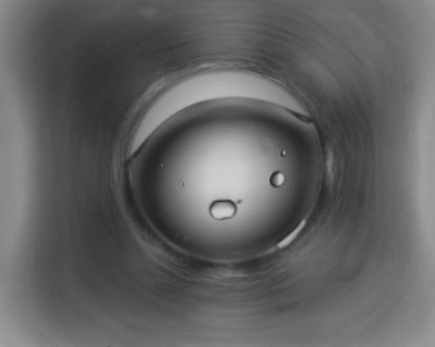 X0000113960348200910021530