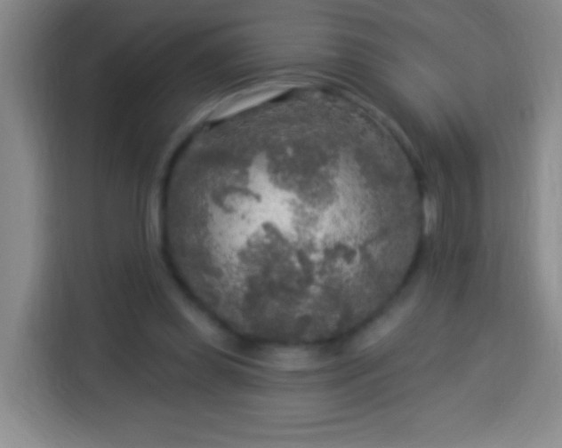 X0000113960349200910021530