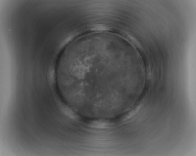 X0000113960351200910021530