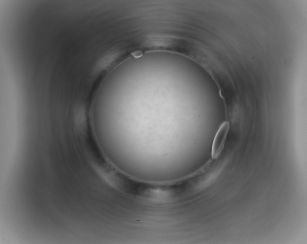 X0000113960352200910021530