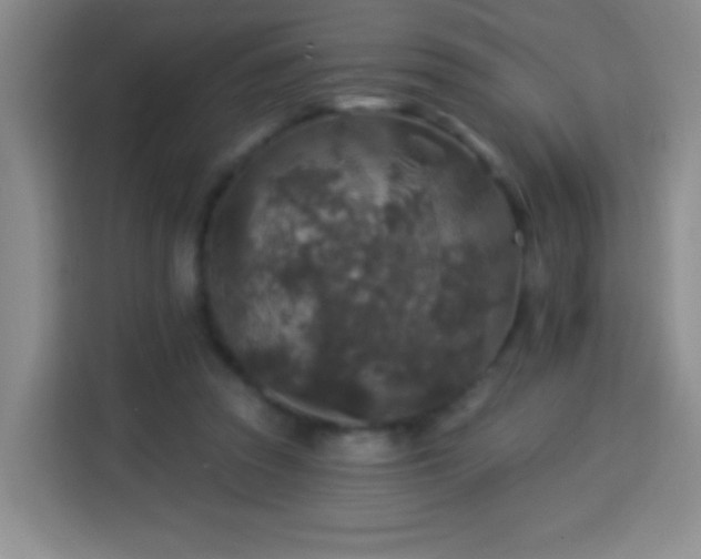 X0000113960353200910021530