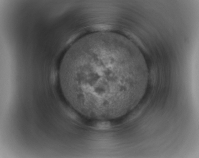 X0000113960355200910021530