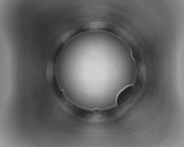 X0000113960356200910021530