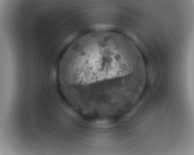 X0000113960357200910021530