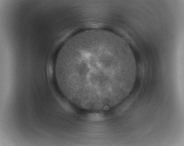 X0000113960358200910021530