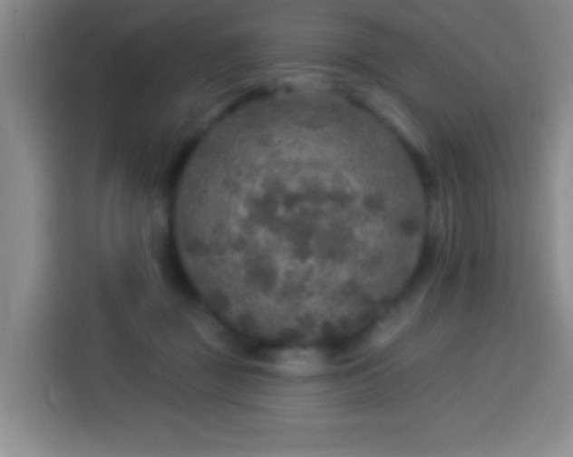 X0000113960363200910021530